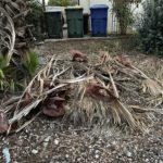 yard waste removal-green waste hauling-junk removal sac-junk removal elk grove-junk removal citrus heights-junk removal roseville-junk removal folsom-hauling-waste-garbage